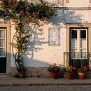 Saint Bernard Tile Panel 30 cm x 45 cm