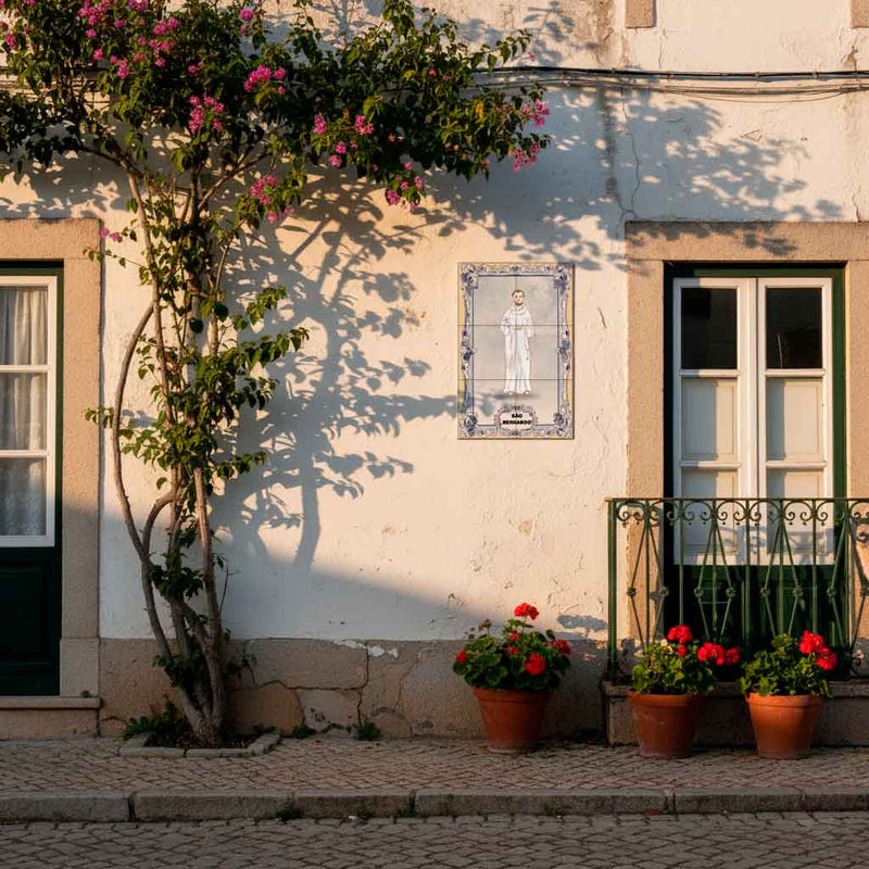 Saint Bernard Tile Panel 30 cm x 45 cm