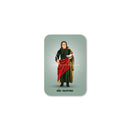 Saint Faustinus magnet