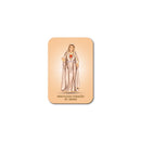 Sacred Heart of Mary magnet