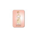 Our Lady of La Salette magnet