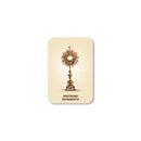 Blessed Sacrament magnet