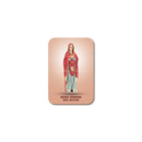 Our Lady Protector of the Afflicted magnet