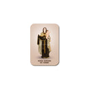 Our Lady of Mount Carmel magnet