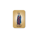 Our Lady of Sorrows magnet
