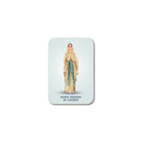 Our Lady of Lourdes magnet