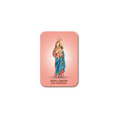 Our Lady of Remedies magnet