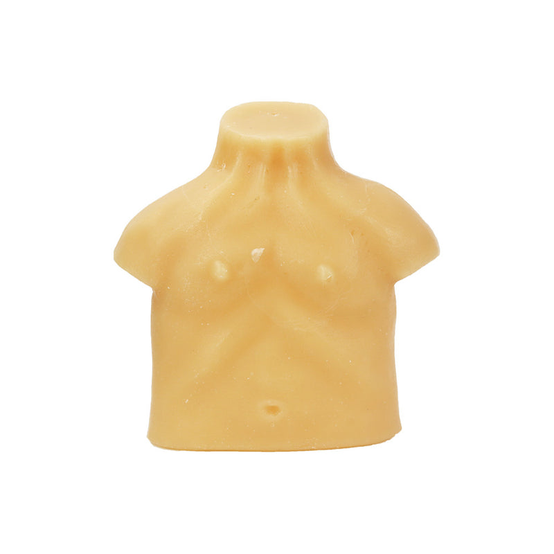 Wax torso