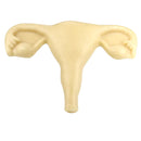 Wax pieces - Promises & Offers