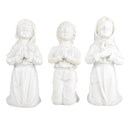 little white shepherds